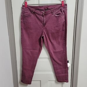 Lane Bryant Super Stretch Skinny Mid-Rise Jeans Petite